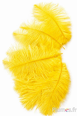 Struzzo - 13-18 cm - giallo